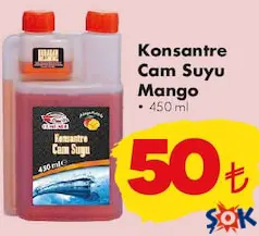 AUTOKİT KONSANTRE OTO CAM SUYU MANGO 450 ML